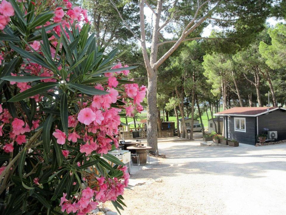 Hôtel Camping Le Bois De Pins à Salses-le-Château Extérieur photo